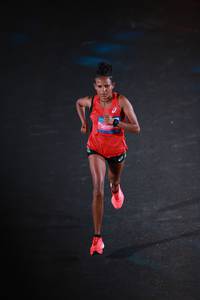 BIB: 
                            <button type="button" onclick="openModal(22933855)" class="btn btn-primary btn-sm float-right btn-popup" data-toggle="modal" data-target=".modal-high-quality">
                        <i class="fas fa-shopping-cart"></i> Add to Cart
                    </button>
                                            <button type="button" onclick="isThisMe(22933855, true)" class="btn btn-success btn-sm float-right btn-popup btn-isme hidden" data-toggle="tooltip" data-placement="bottom" title="นี่คือรูปของคุณใช่ไหม คลิกที่นี่เพื่อเอาเข้าอัลบั้ม">
                        <i class="fas fa-plus"></i> Add to album
                    </button>
                    <button type="button" onclick="isThisMe(22933855, false)" class="btn btn-warning btn-sm float-right btn-popup btn-isnotme hidden">
                        <i class="fas fa-ban"></i> Remove from album
                    </button>